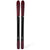 DPS Carbon Reveal Pisteworks 94 Skis 2027