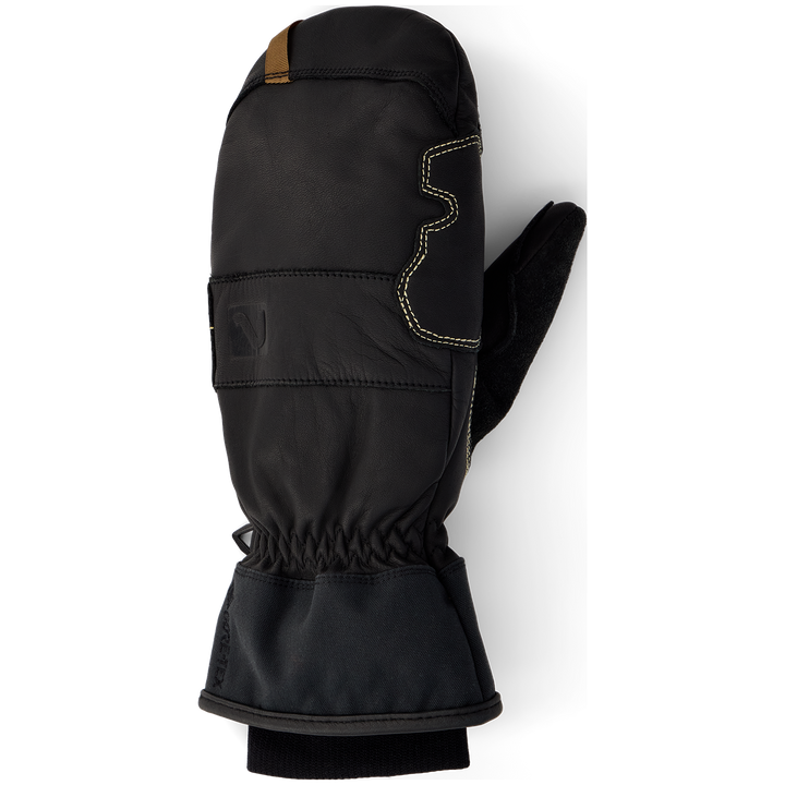 Flylow Crockett Gore-Tex Mittens Black