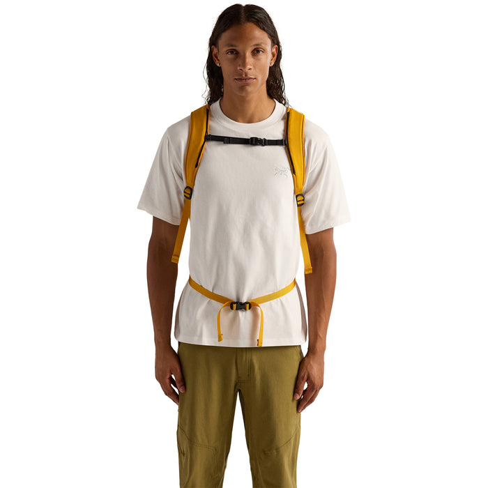 Arc'teryx Mantis 26L Backpack Nucleus