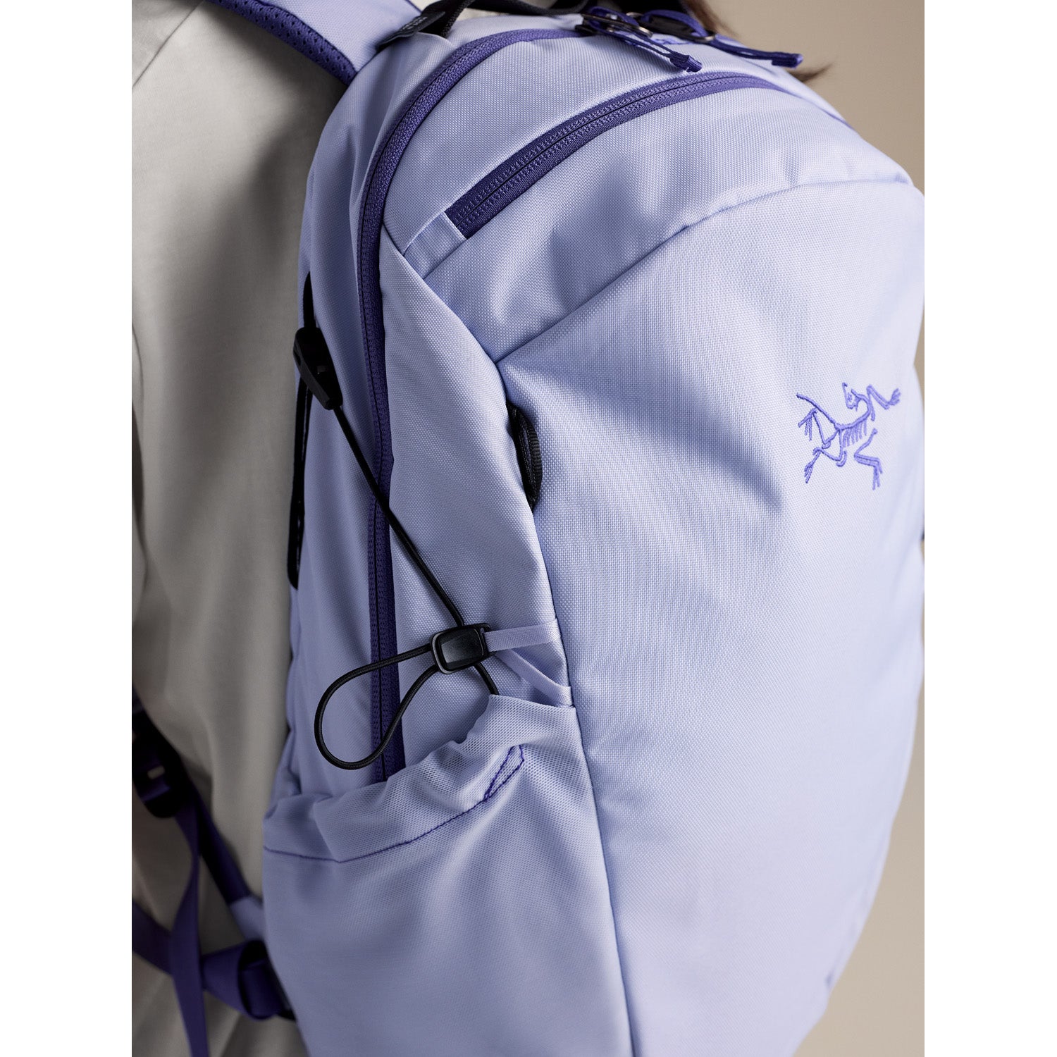 Arc'teryx Mantis 16L Backpack – evo