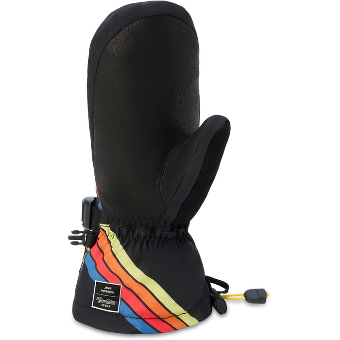 Dakine Team Sequoia 2.0 Leather Dlx Gore-Tex Jamie Anderson Mittens - Women's Anderson Stripes