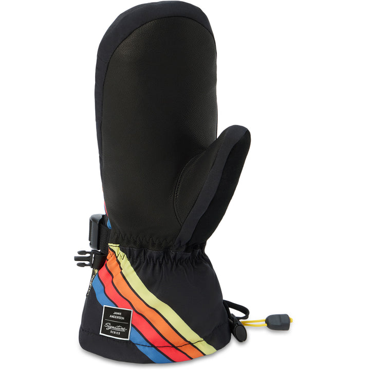 Dakine Team Sequoia 2.0 Leather Dlx Gore-Tex Jamie Anderson Mittens - Women's Anderson Stripes