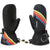Dakine Team Sequoia 2.0 Leather Dlx Gore-Tex Jamie Anderson Mittens - Women's Anderson Stripes
