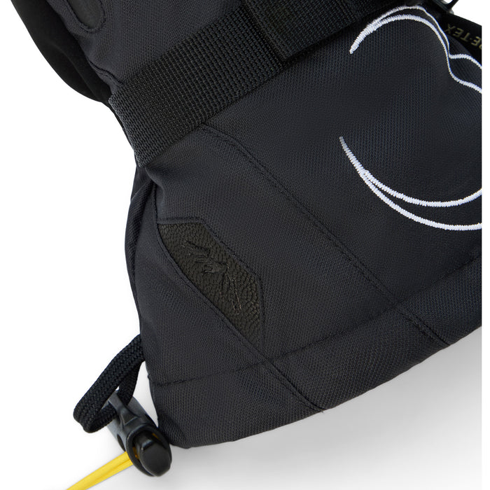 Dakine Team Sequoia 2.0 Leather Dlx Gore-Tex Jamie Anderson Mittens - Women's Anderson Stripes
