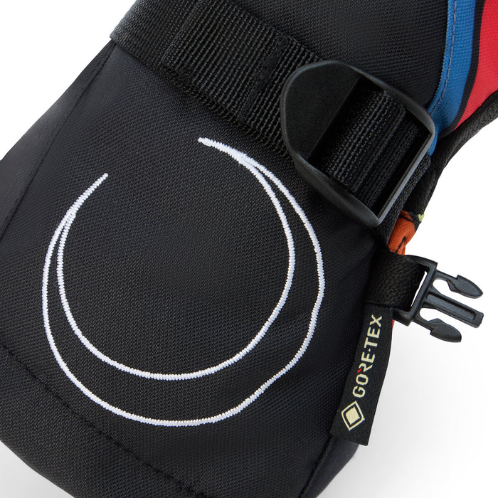 Dakine Team Sequoia 2.0 Leather Dlx Gore-Tex Jamie Anderson Mittens - Women's Anderson Stripes