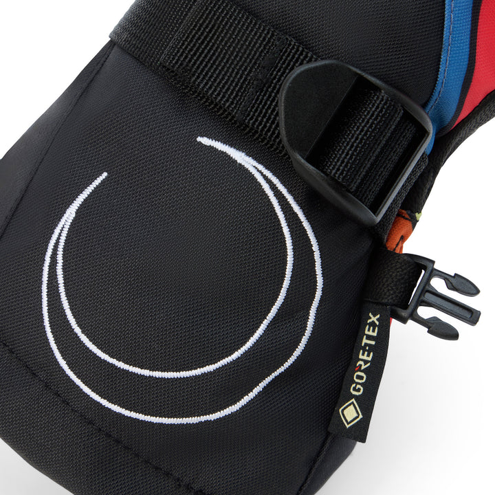 Dakine Team Sequoia 2.0 Leather Dlx Gore-Tex Jamie Anderson Mittens - Women's Anderson Stripes