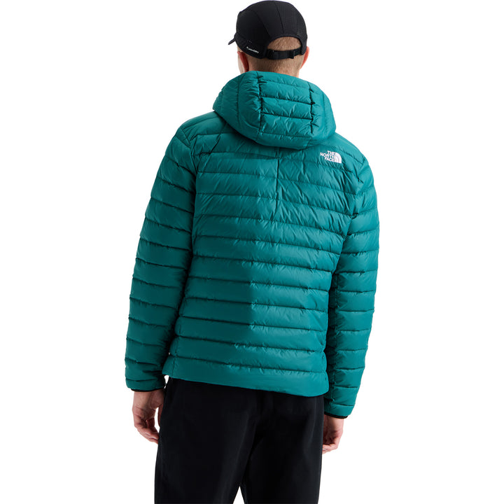 The North Face Classic Down Hooded Jacket - Men's Pacific Teal