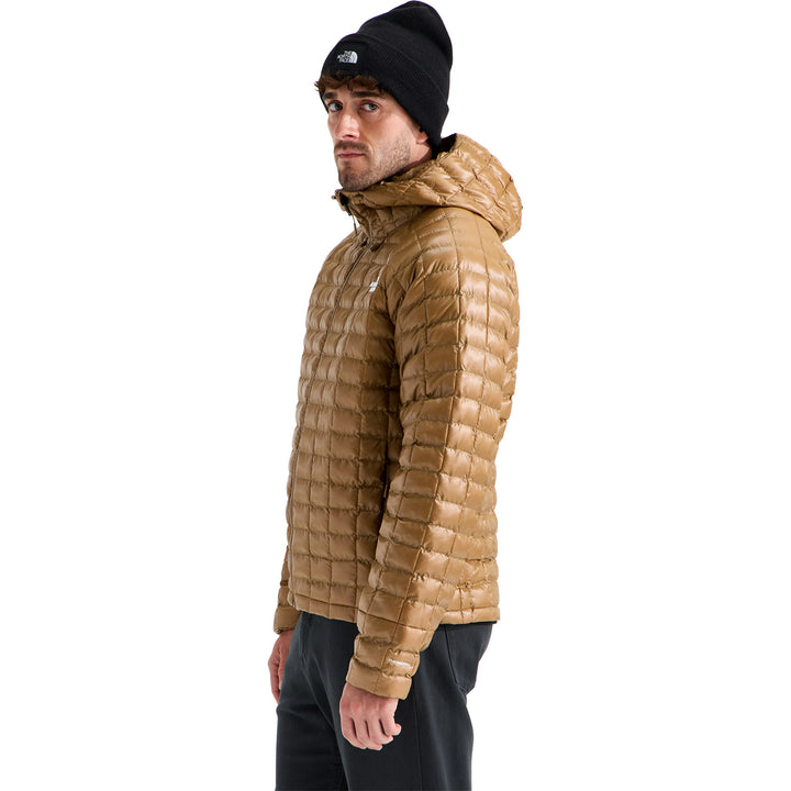 The North Face THERMOBALL™ Hooded Jacket - Men's Utility Brown