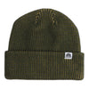 Coniferous