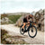 Vittoria Terreno T30 Fine Loose Gravel Endurance Tire - 700c