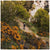 Vittoria Terreno T60 Mixed Gravel Endurance Tire - 700c