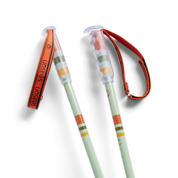 Season Community Ski Poles 2027 Teal