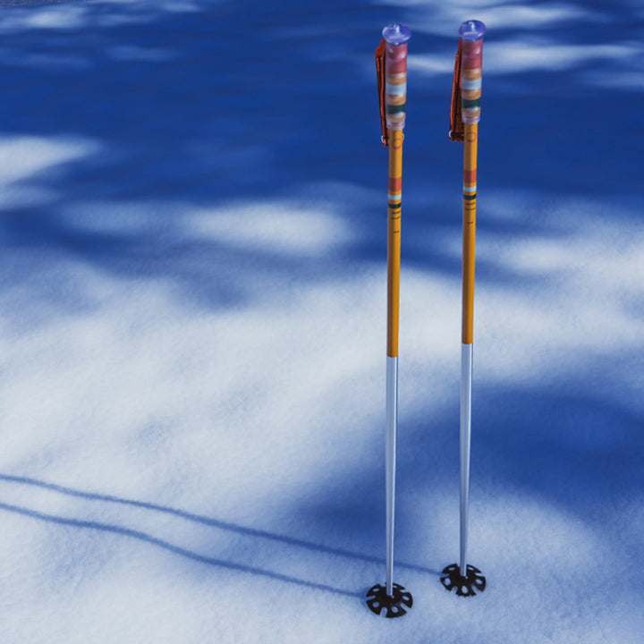 Season Community Ski Poles 2027 Teal
