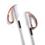 Season Primer Ski Poles 2027