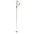 Season Primer Ski Poles 2027