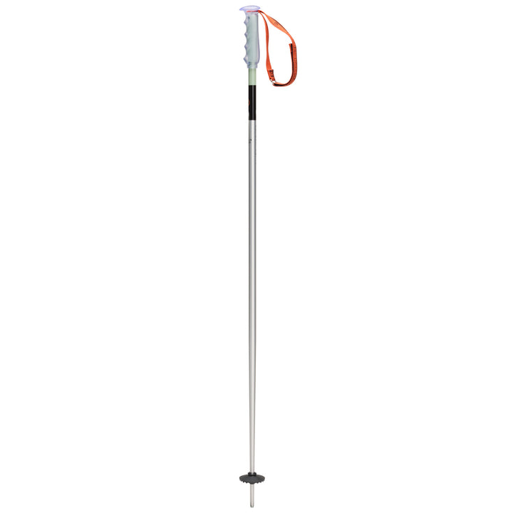 Season Primer Ski Poles 2027