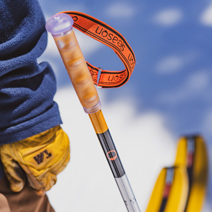 Season Primer Ski Poles 2027