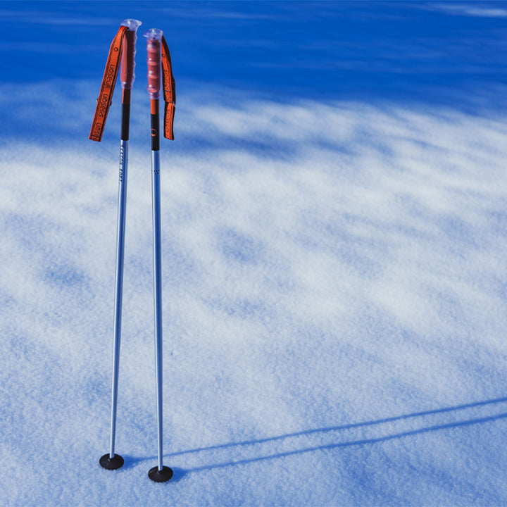 Season Primer Ski Poles 2027