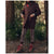 The Great Outdoors Reversible Sawyer Puffer Jacket - Women's Brown/Poppy