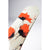 CAPiTA Birds Of A Feather Snowboard - Women's 2027