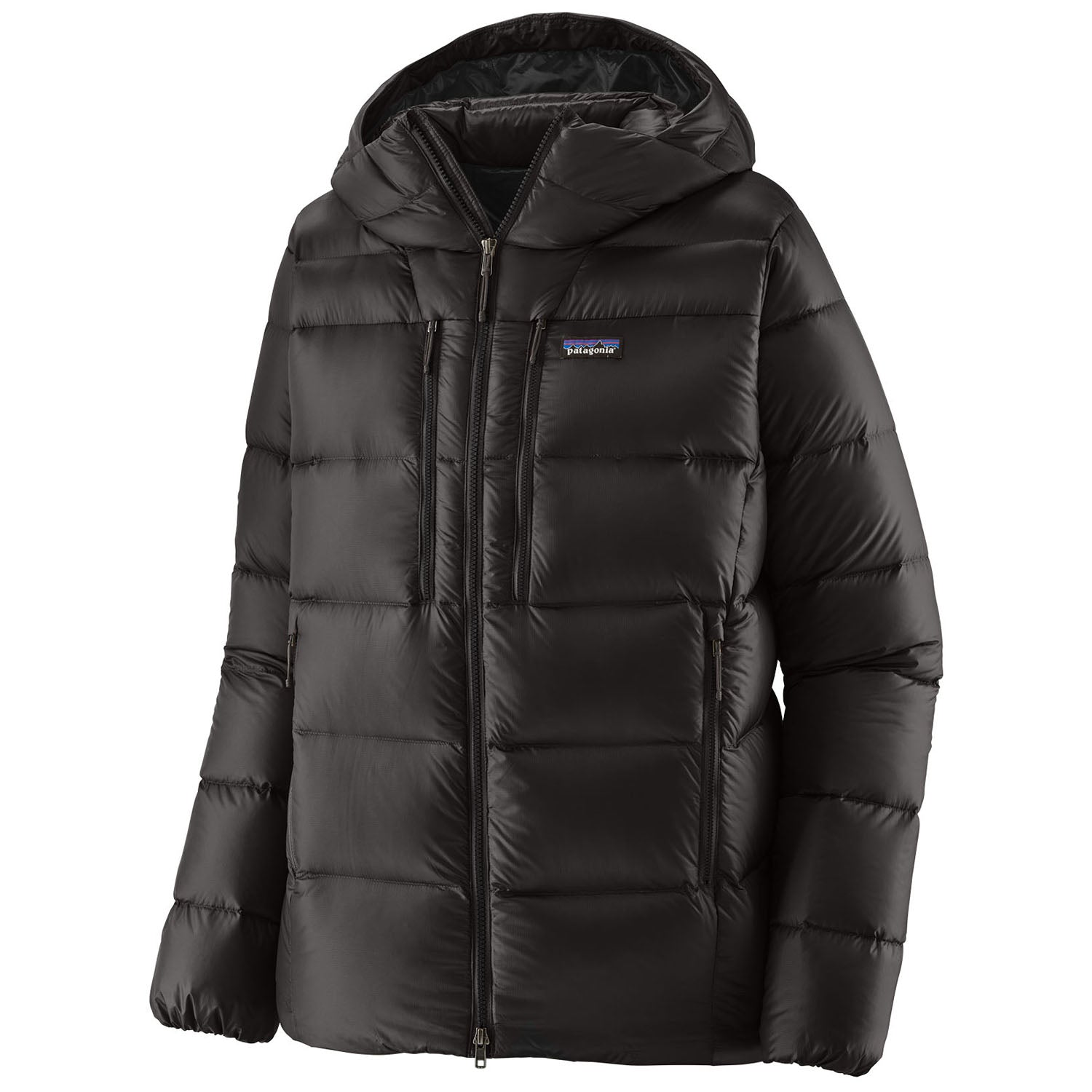 Patagonia Fitz Roy Down Hoodie - Men's – evo