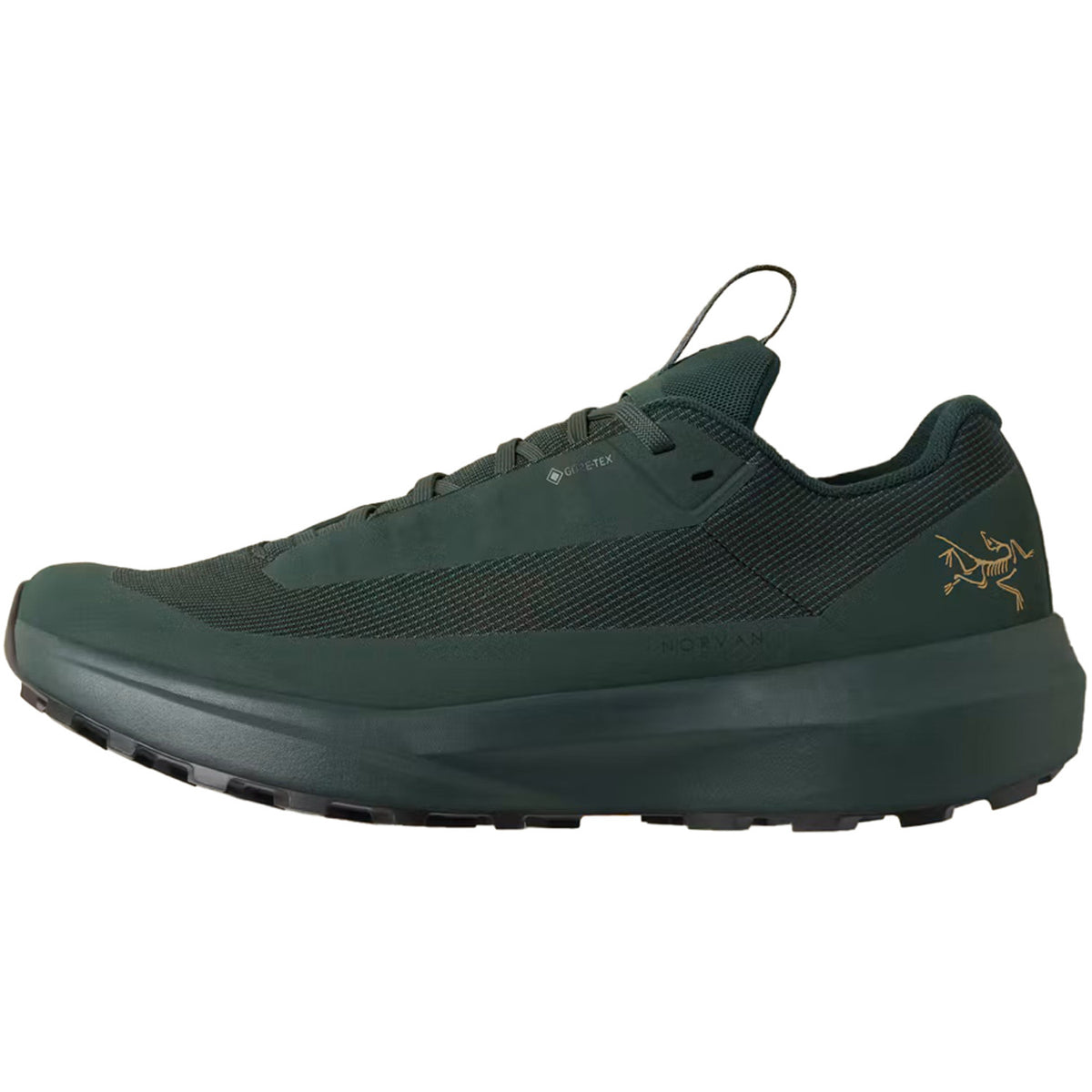 Arc'teryx Norvan LD 4 GTX Shoes - Women's Dark Jade/Dark Jade