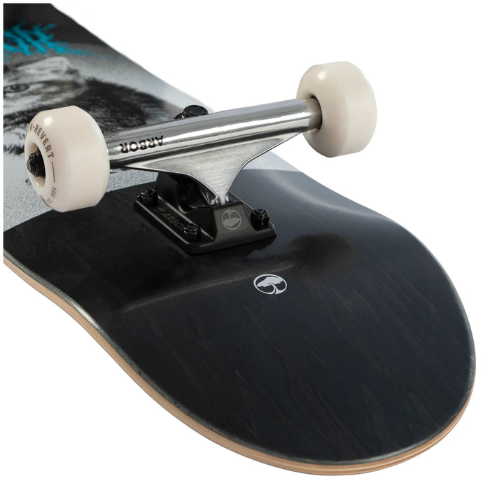 Arbor Revert Kitten Black 8.0 Skateboard Complete