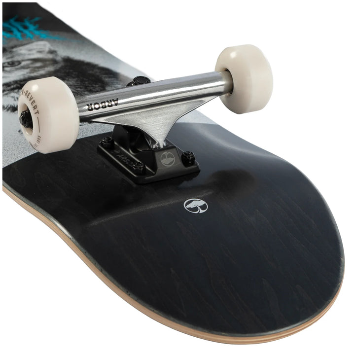 Arbor Revert Kitten Black 8.0 Skateboard Complete