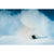 United Shapes Deep Reach Snowboard 2027