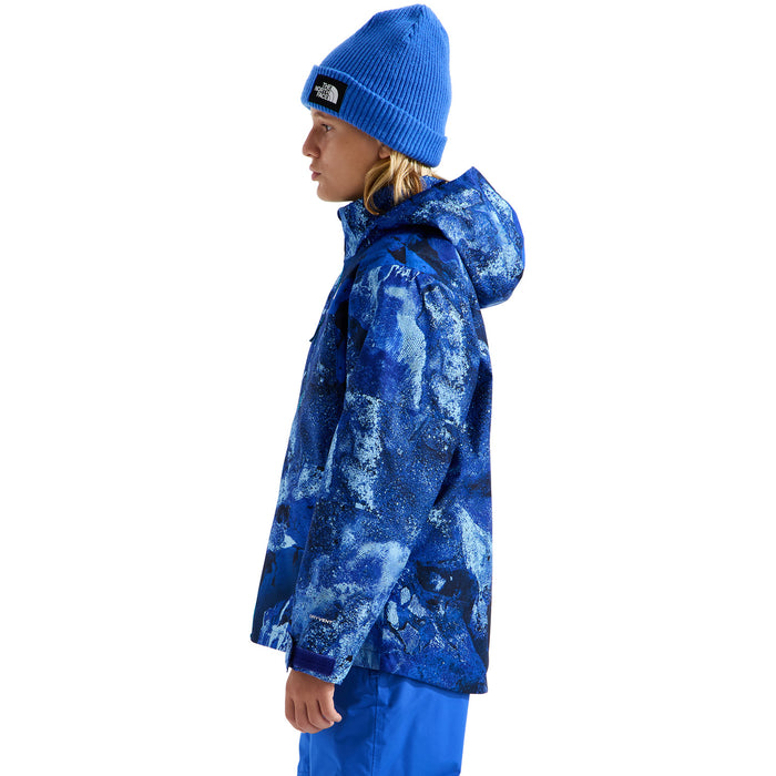 The North Face Freedom Insulated Print Jacket - Boys' Bold Blue Half Dome Strata Print