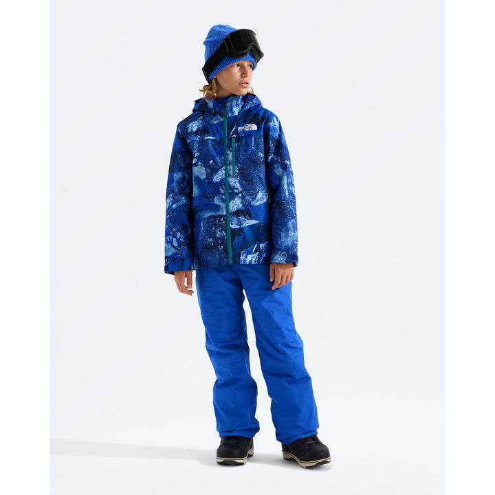 The North Face Freedom Insulated Print Jacket - Boys' Bold Blue Half Dome Strata Print