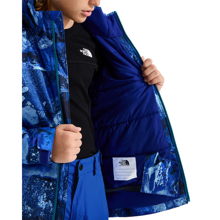 The North Face Freedom Insulated Print Jacket - Boys' Bold Blue Half Dome Strata Print