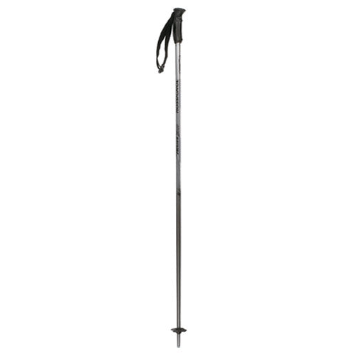 Rossignol Active 5000 Ski Poles 2006