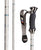 K2 5 Karat Ski Poles 2006