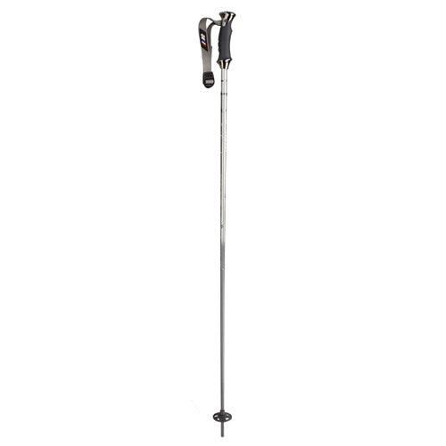 K2 5 Karat Ski Poles 2006