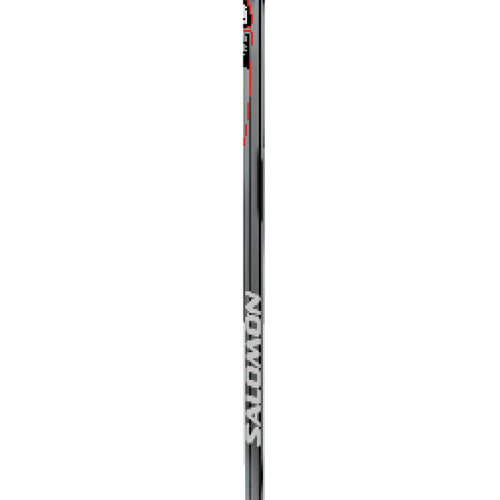 Salomon Scrambler Ski Poles 2006