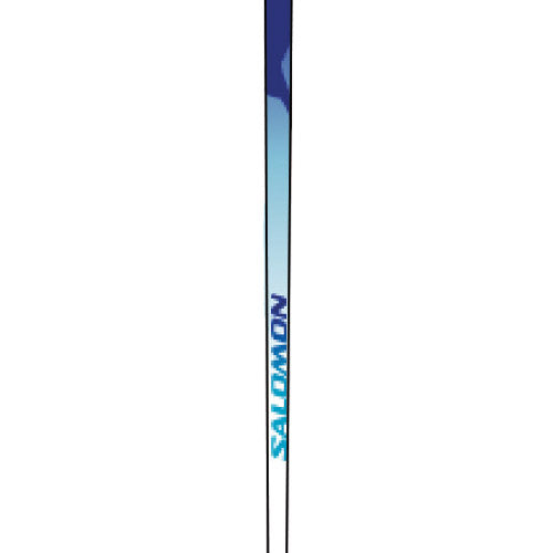Salomon Siam Women's Ski Poles 2006