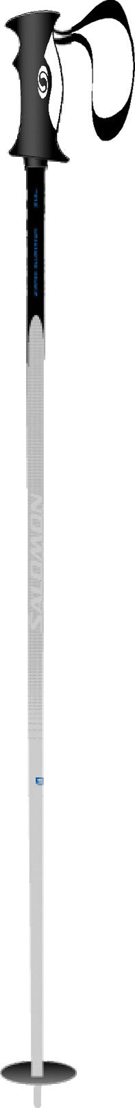 Salomon Arctic Ski Poles 2006