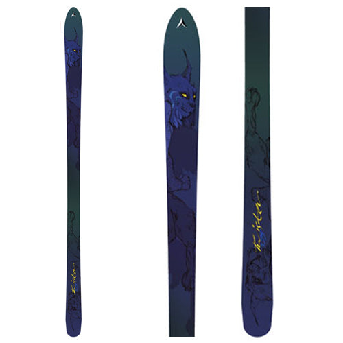 Dynastar Twister Skis 2006