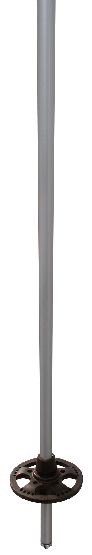 K2 4 Speed Ski Poles 2007