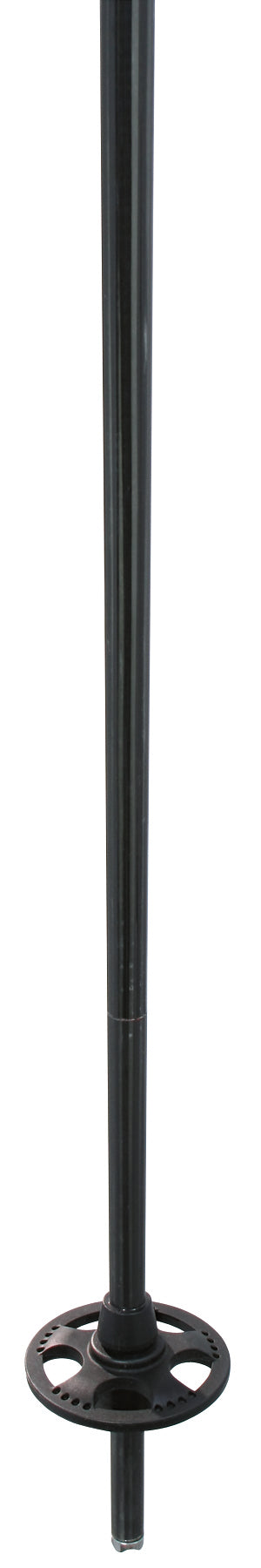 K2 6 Karat Ski Poles 2007