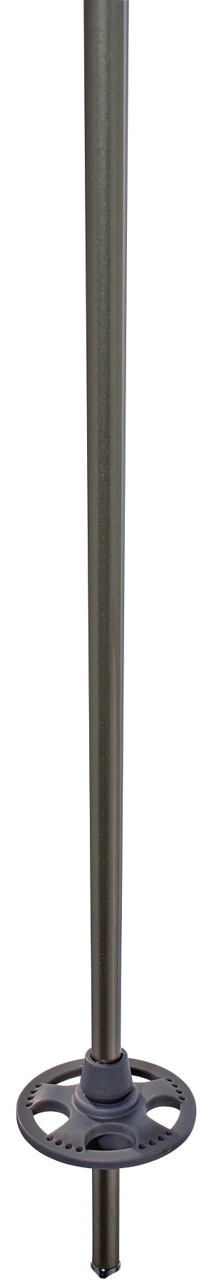 K2 4 Karat Ski Poles 2007