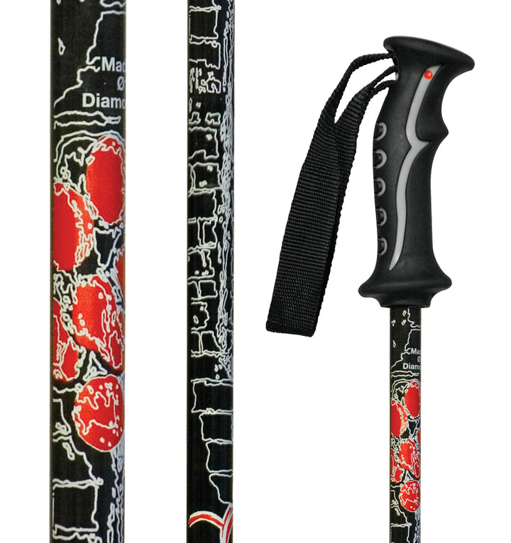 Joystick The Carbon Ski Poles 2007