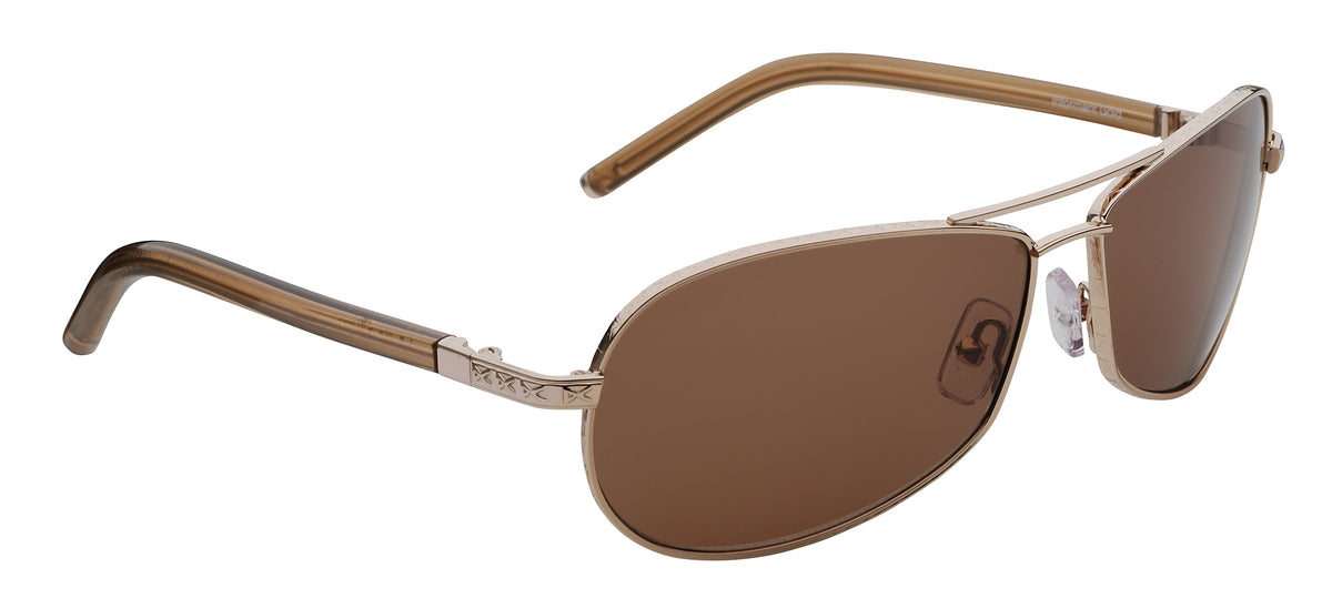 Anon Informant Sunglasses Gold/Brown