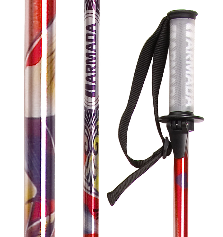 Armada ARV Instrument Ski Poles 2008