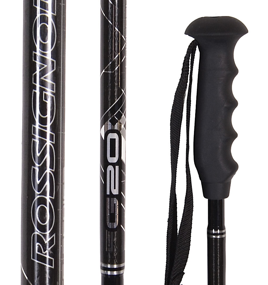 Rossignol G20 Ski Poles 2008
