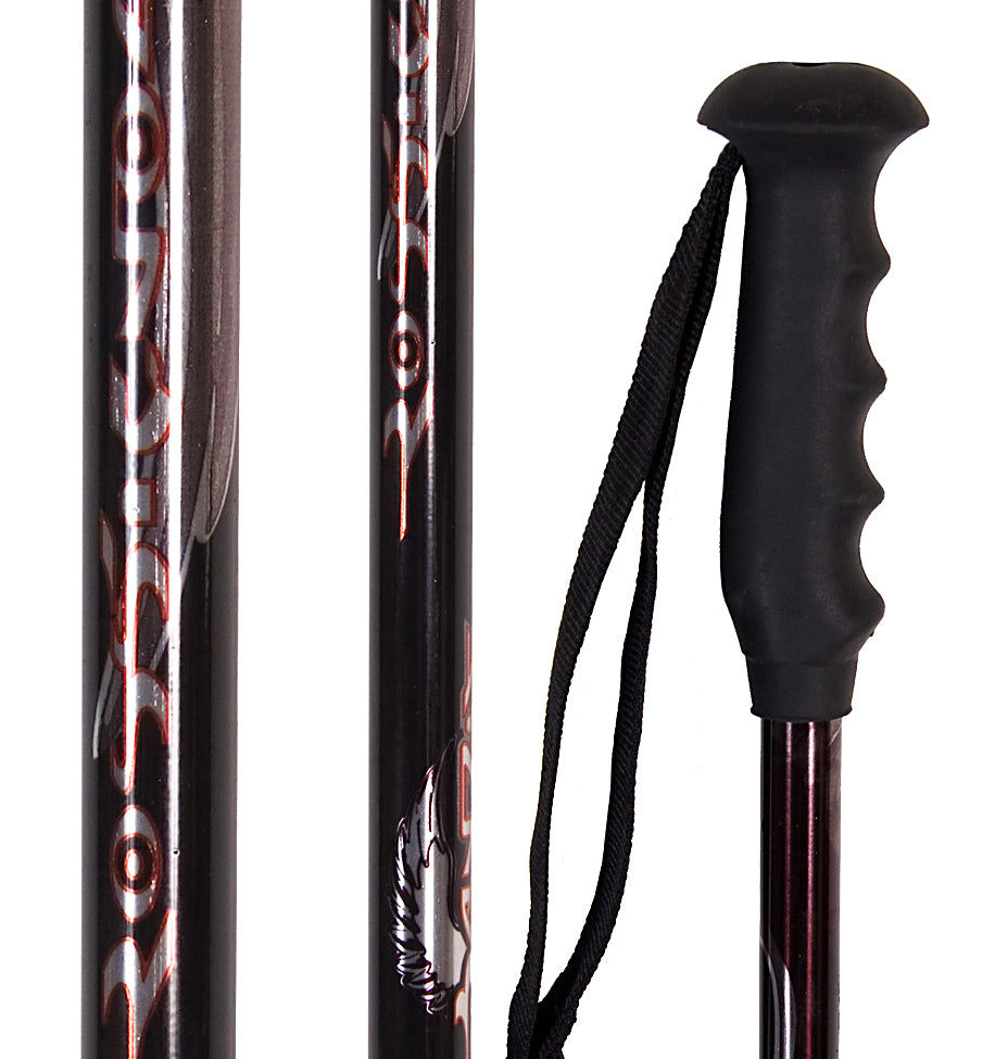 Rossignol Bandit 5000 Ski Poles Ski Poles 2008