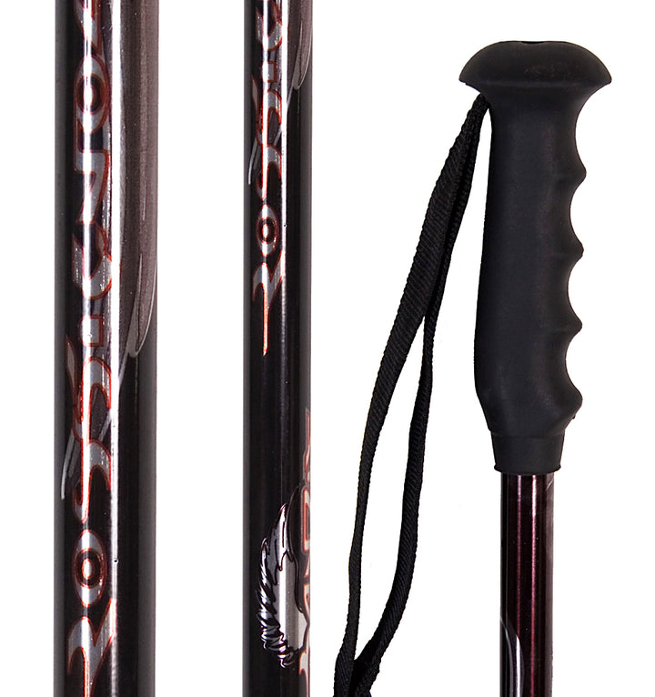 Rossignol Bandit 5000 Ski Poles Ski Poles 2008