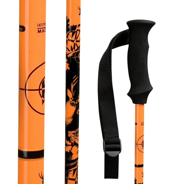 K2 V6 Ski Poles 2008