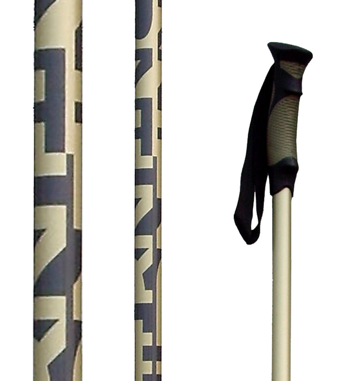4FRNT Crossfade Ski Poles 2008